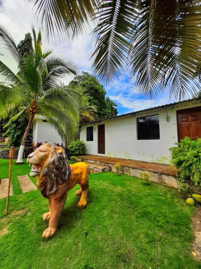 Hotel Tunco Lodge La Libertad Buitenkant foto